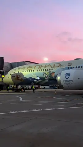 Best you think this is the best livery? #fyp #aviation #planespotting #heathrow #airport 