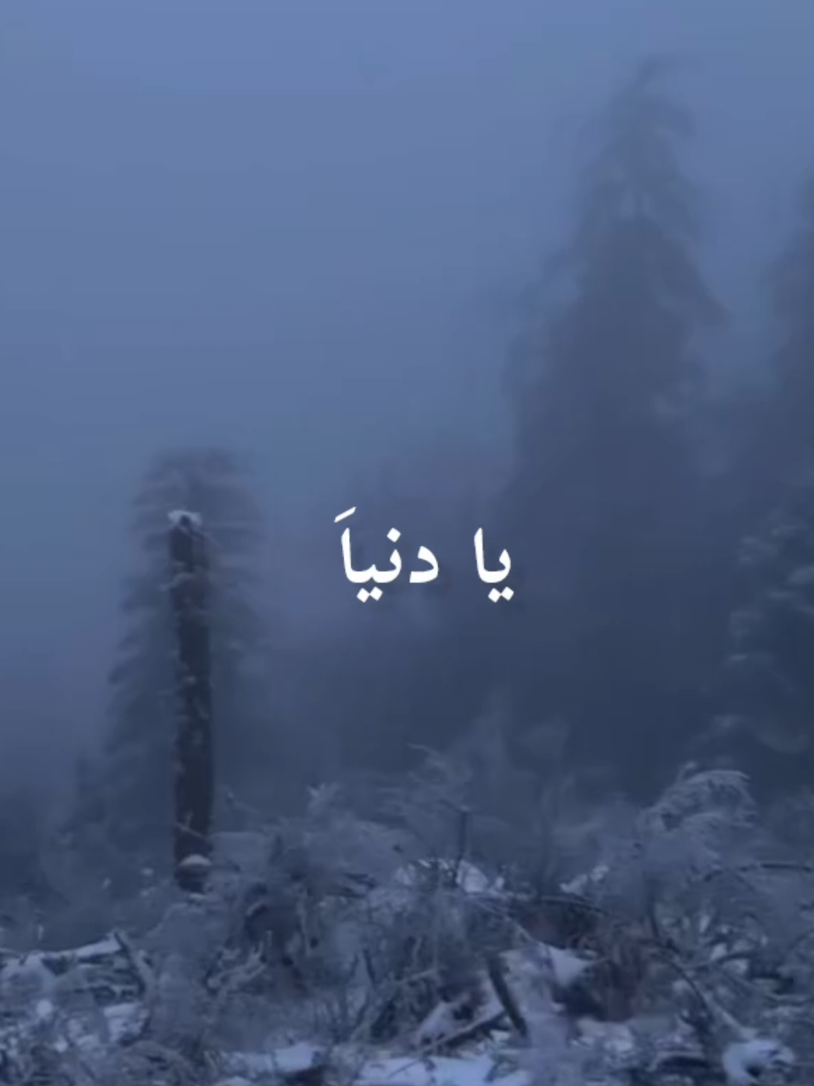 ان الأوان وصاحت جروحي رياض احمد #رياض_احمد #Sing_Oldies #طربيات_الزمن_الجميل_🎼🎶🎻♥️🌹 #فيديوهاتي_تصاميمي🎶🎬 #هواجيس 