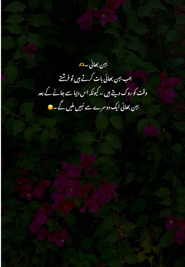 Allah sub ka bhan bhai ko lazmbi zindagi dy Ameen🥺🤍#poetry #grow #fyp #viralvideos #aestheticvideos 