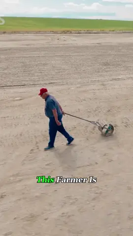 This Tiny Bee Is Worth More Than Gold!
 #bees #agriculture #farmer #fyp #foryou 