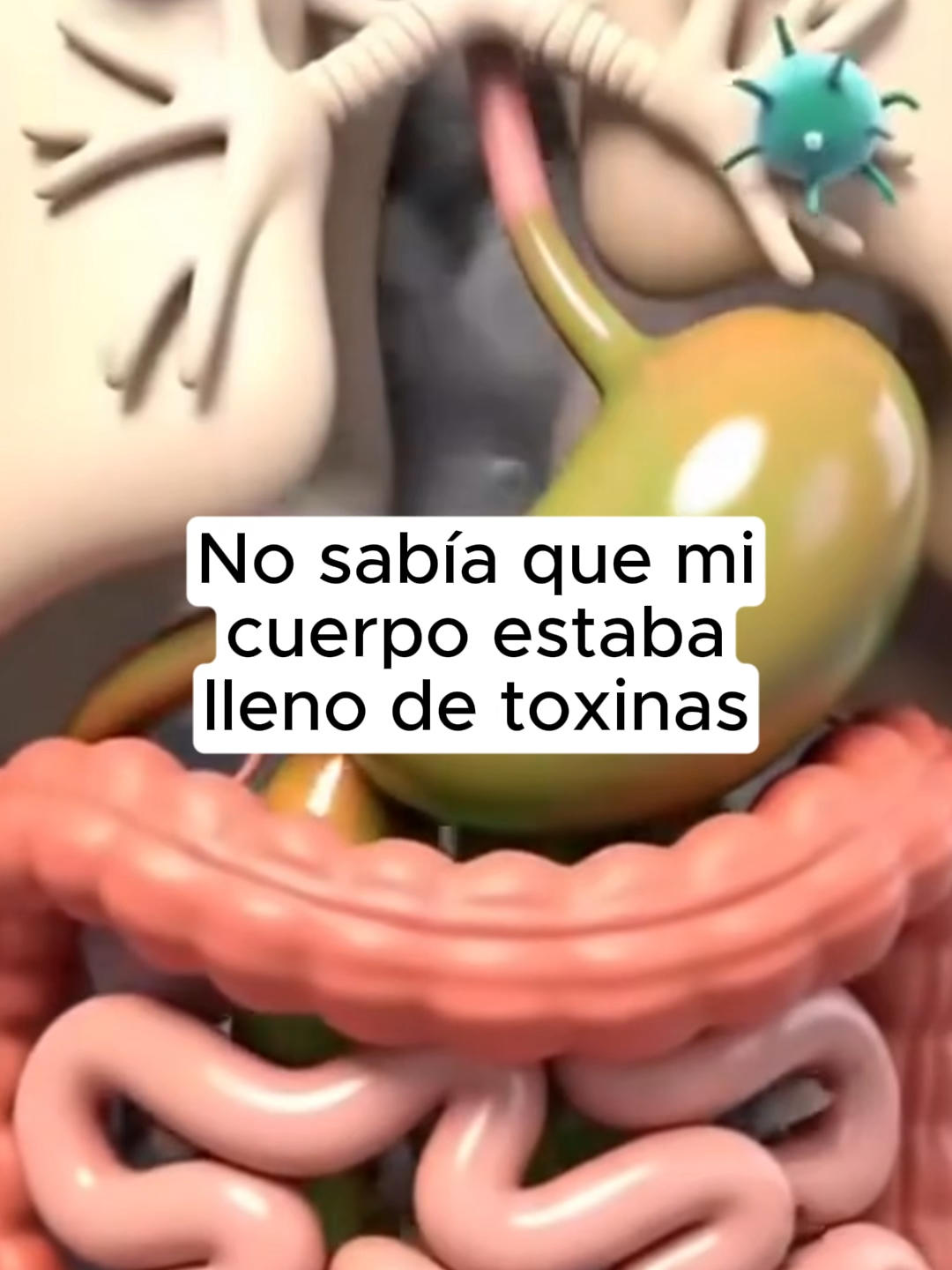 🌱 Fórmula 100% natural: orégano + semilla negra + pimienta negra.