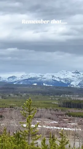 When a bald eagle waves at you….. 