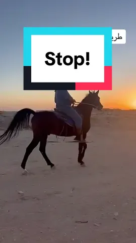 #f #fyp #foryou #foryoupage #fyppppppppppppppppppppppp #fypシ゚ #شعب_الصيني_ماله_حل😂😂 #مالي_خلق_احط_هاشتاقات #اكسبلورexplore #اكسبلور #الرياض #4u #edits 