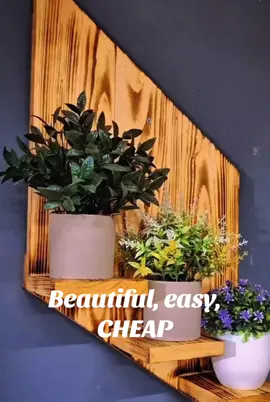 Good looking shelf for a fraction of store prices. #woodworking #DIY #sidehustle #maker #plants 
