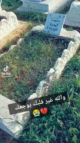 🤲🤲🤲