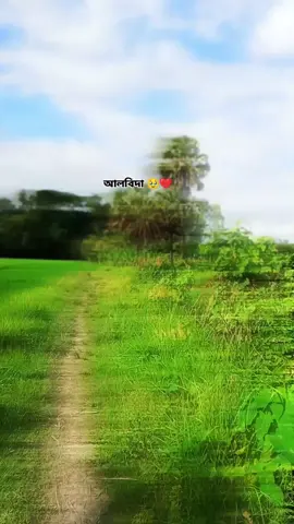 আলবিদা 😅🫶