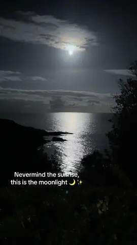Nature has my heart 💘 #Scotland #Newtonhill #Moonlight #fyp 