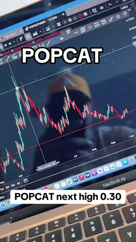 POP still creating a higher high #popcat #crypto #trading #chart #bitcoin #tradingtips #unitedstates #blockchain 