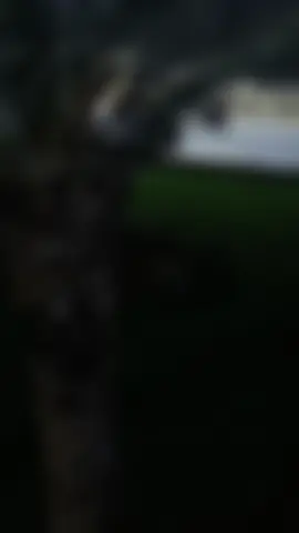 #CapCut #تصويري📷 #تصوري📸 #العراق #الانبار 