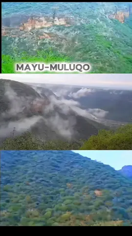 DHULKII BARAKAYSNA#MAYU-MULUQO#viewsproblem 