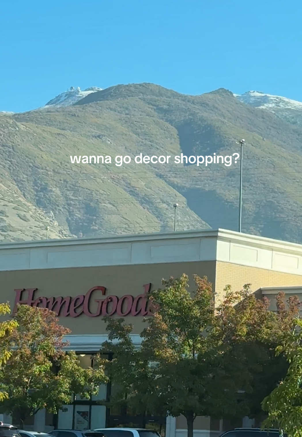 Yes always yes 😂🫶🏼✨ #homegoods #homegoodshaul #halloweendecor #christmasdecor #homegoodshalloween 