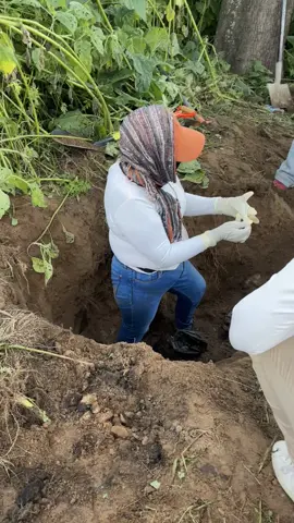 En Zapopan, hemos encontrado hasta ahora 75 bolsas con decenas de cuerpos. Si no logro entender la muerte, menos la barbarie de dejárnoslos escondidos hechos cachitos. Me niego a aceptar que tantas historias, sonrisas, abrazos, cumpleaños y sueños, quepan en una bolsa. #nosfaltantodos #hastaencontrarlos