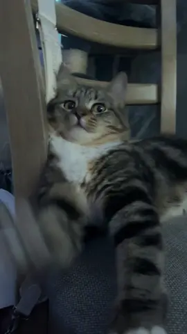 she gon call me baby boo🙂‍↔️ #ybbetter #fyp #babyboo 