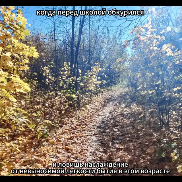 #летов #егорлетов #гражданскаяоборона 