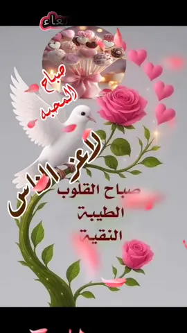 وفي صباح يوم الأربعاء 2025/10/8#صباح_الخير #صباحكم_سعادهـ🌸🍃 