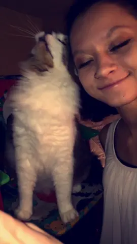 @lilbabelex do you remember this?! I miss this fluff ball and you!🫶🏼 #fyp #catlover #catsoftiktok #cattok #cats 