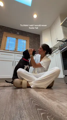 I cant believe I ever said that about my GIRL! #dogs 