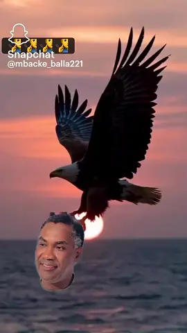 leçon de vie