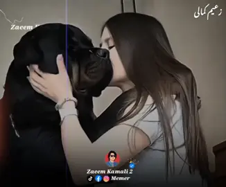 Aw ghamazano 😂😂 just for fun 😄  pashto funny video  #fyp #pashtofunny #foryoupage #zaeemkamali2 #growmyaccount 