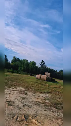 #f #country #farmlife #viral #nc 