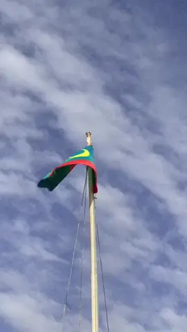 . 🇲🇷 علمنا… رمز العزّة والشموخ، يرفرف بكل فخر فوق أرض الأحرار 💚✨ #موريتانيا 🇲🇷 #علم_موريتانيا #فخر_الوطن #نواكشوط #الوطن_العزيز