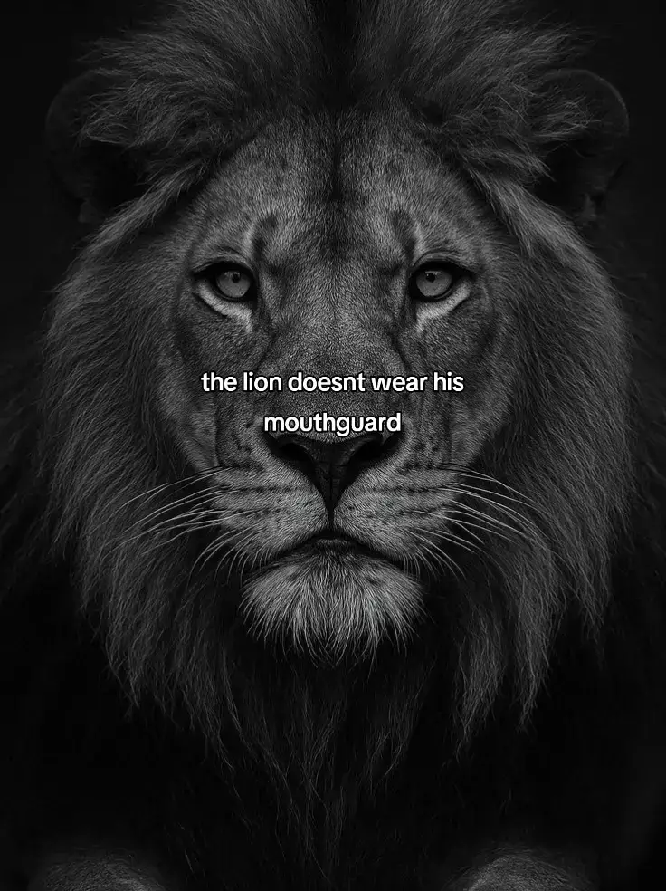 the lion always acts how he wants #lion #boxing #fyp #foryou #kickboxing 