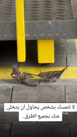 #fyp #tiktok #viral #foryoupage #fypシ゚ 