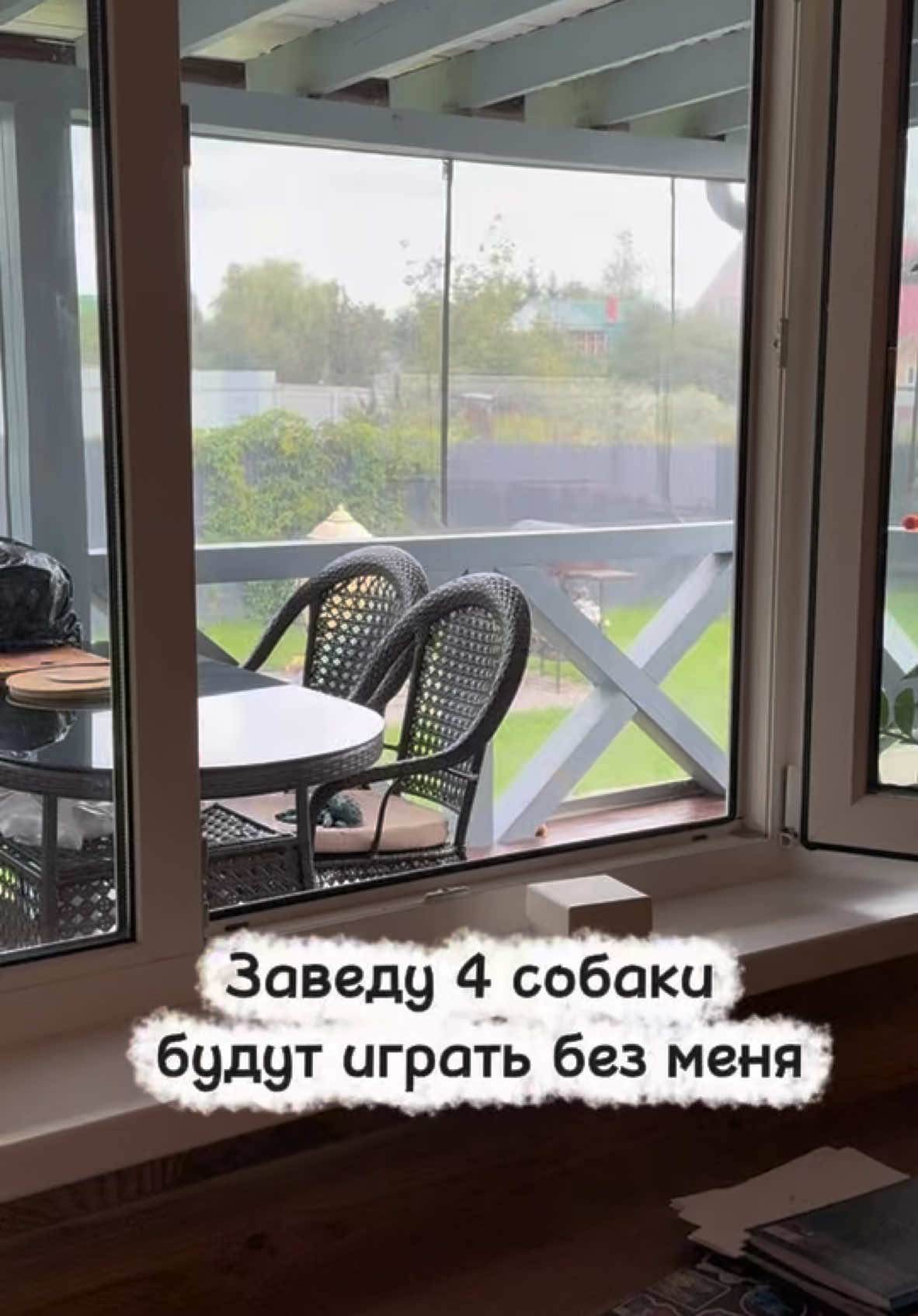 #федорипетр#собакасулицы#найденыш#жизньспасенныхсобак