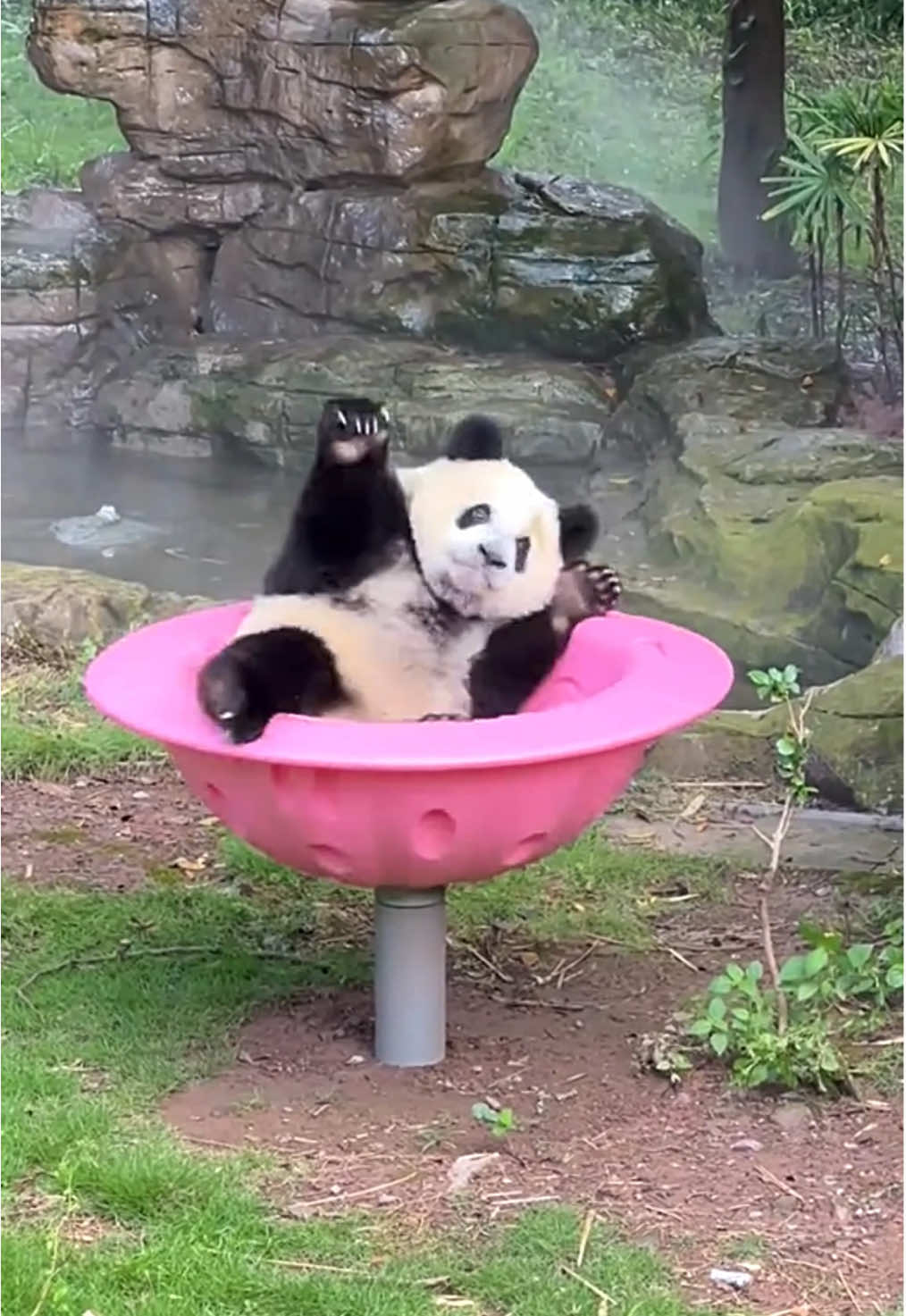 Phillies débarque All-Star plus près de Jhoan Duran avant la date limite des échanges de la MLB 0°🔥😂👀 #JhoanDuran #MLBTradeDeadline #Phillies #BaseballUpdates #SportsNews