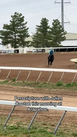 Prescripture working for Trainer @Cady S and Stortzum Racing at Bally’s Arapahoe Park.  #horseracing #Colorado #Fast #Horses 