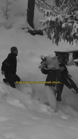 Per ty boten e kalli shkrum #virał #jeta #videoviral #viralditiktok 