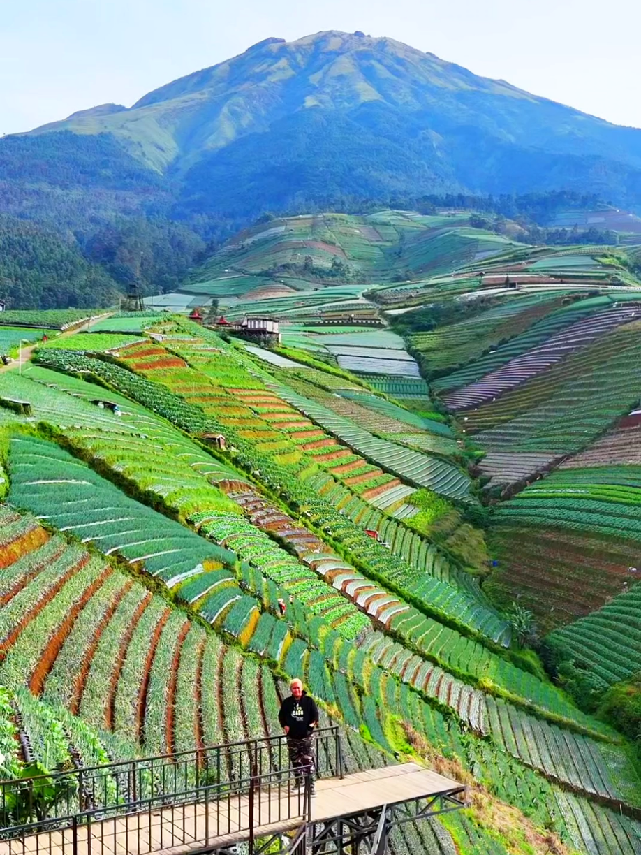 Senyum ramah warga lokal adalah bagian dari keindahan Sukomakmur yang tak tertulis di peta wisata. Di desa ini, kehangatan persaudaraan terasa begitu kental dan melengkapi keindahan alam yang ada. Di tempat ini, alam bicara pada jiwa, pegunungan mengajarkan ketenangan, dan hijaunya sawah melahirkan rasa syukur. Hirup udara segarnya, rasakan keheningan ini, dan biarkan keindahan alam mengajarkanmu untuk menghargai setiap napas 🌿🌬 @Tony Arian @Aliansi Hitam Official Store @Arian Store  #AliansiHitamStory  #NegeriSayurSukoMakmur #NepalVanJava #GunungSumbing #Magelang 