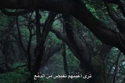 #محمد_صديق_المنشاوي #المنشاوي #quran #fyp #🎧 