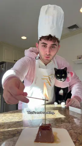 Birthday celebration all week long! #cattok #funny #kitten #viral #catsoftiktok 