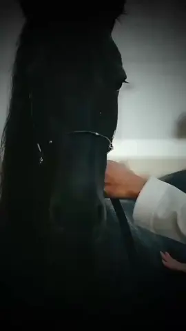 #king 