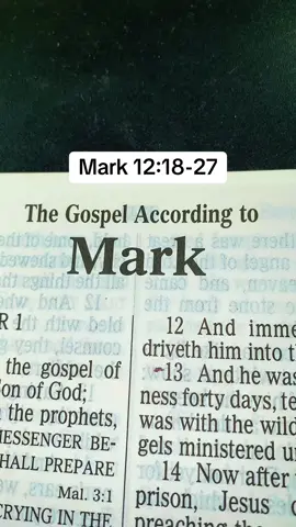 #TheLordJesusChrist #Messiah #GospelKJV #ScriptureReadingFYP #TheLambOfGod 