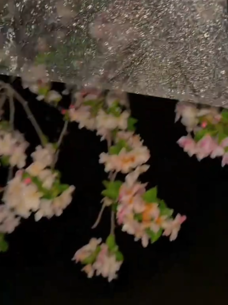 احب هذا النشيد . . . 