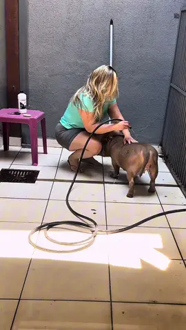 Mãe de pet também é mãe.  Vem comigo preparar essa popota pra mais um dia de gravação.  #atriz #videoviral #fy #maternidade  #creatorsearchinsights 