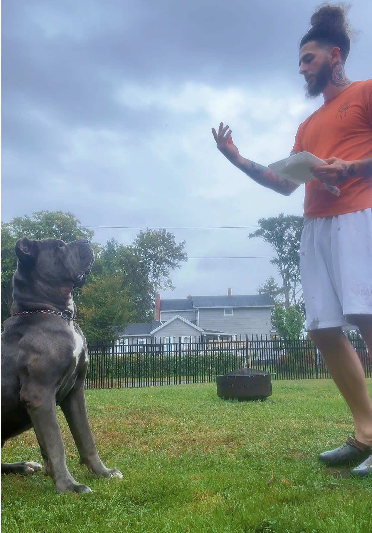 Thunderstorm wasn't stopping nothing , Been working on her patience lately , Hard headed ass 😂 #upstatecanecorso #katana #training #Bond #Love 