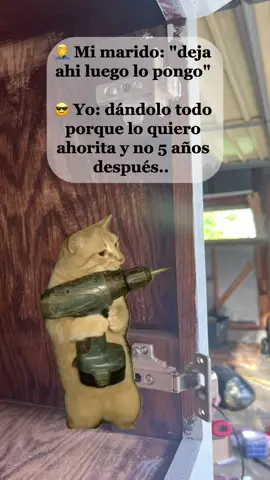 #Meme #MemeCut #miesposo #mexicocheck #viral 