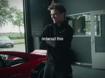 #NORRIS — Wood is so underrated 😣 || #landonorris #fyp 
