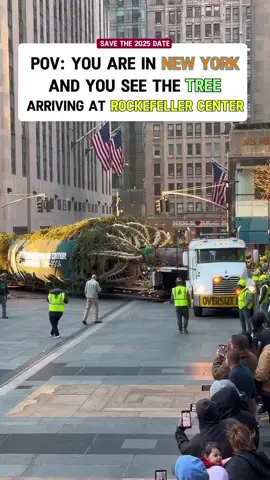 Experience loading…… #nyc #newyork #rockerfeller #christmas #christmastree 