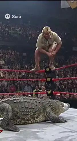 Steve Irwin vs The Crocodile  #steveirwin #sora #ai #WWE #fyp 