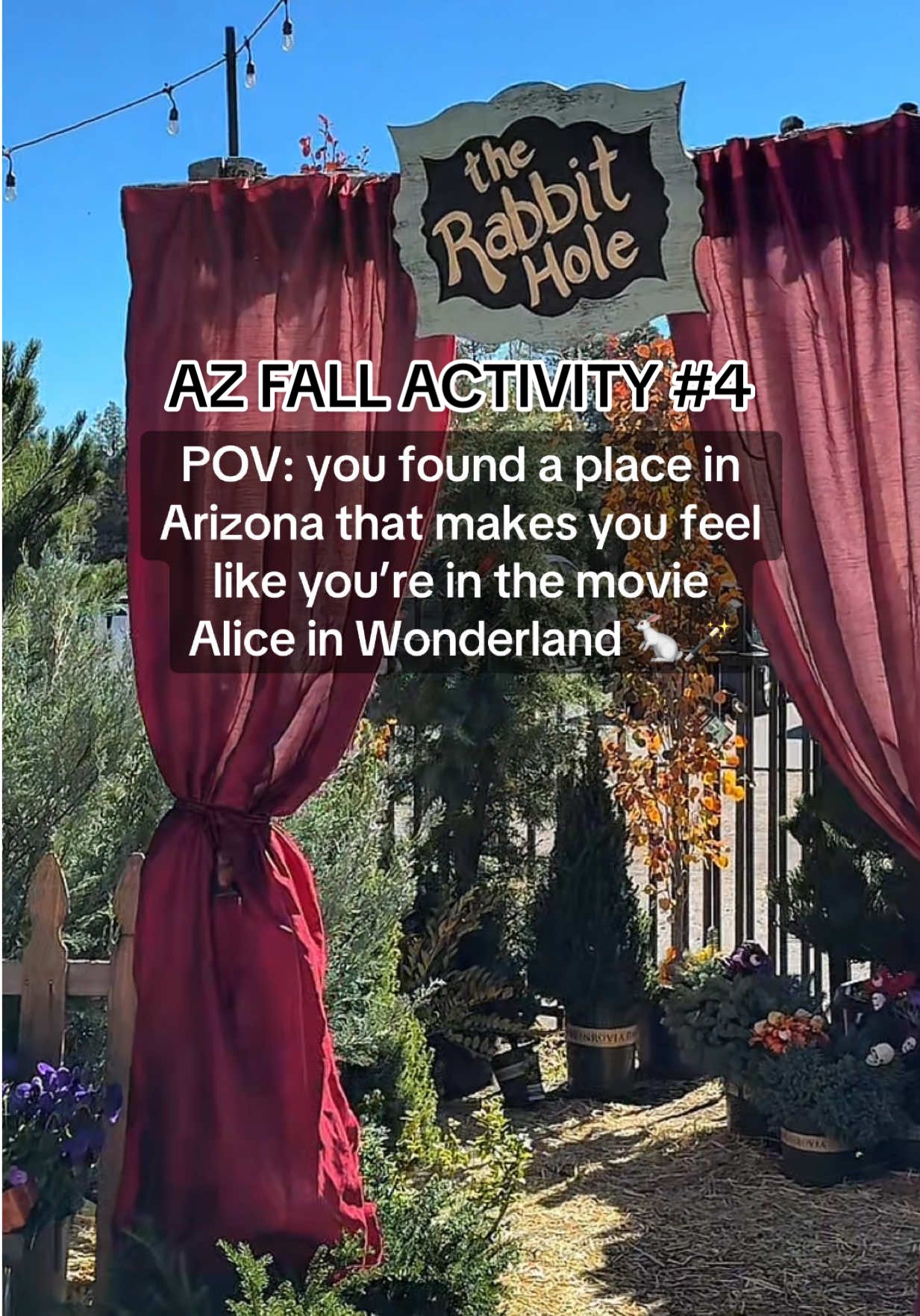 ALICE IN WONDERLAND IN AZ?! Only $7 to get in…. 🎃 AZ FALL ACTIVITY #4 ➡️ VIOLA’S FLOWER GARDEN IN FLAGSTAFF 🍁 this place is about 2 hours from Phoenix and the perfect thing to do with your friends or family for fall 🥹 the Alice in wonderland theme was so cute and we loved the hay maze…soo many photo spots 🙌🏼 anyone been to Viola’s Flower Garden! Add it your fall bucket list ✔️ #arizona #fallactivities #thingstodo #flagstaffarizona #flagstaff #aliceinwonderland #therabbithole #pumpkinpatch #pumpkins #wildjoy 