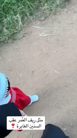 #foryoupage #اكسبلوررر #قصيد #قمرا #اللهم_بارك 