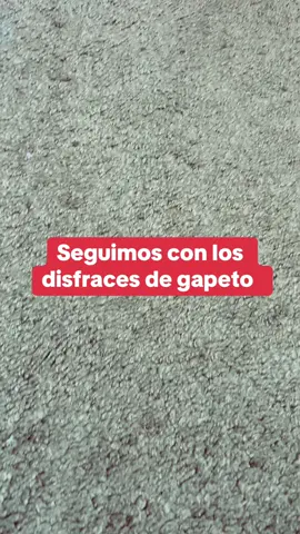 #gapeto#FYP Trending #Reptilesoftiktok#PetsOfTikTok Disfras del chavo del 8 