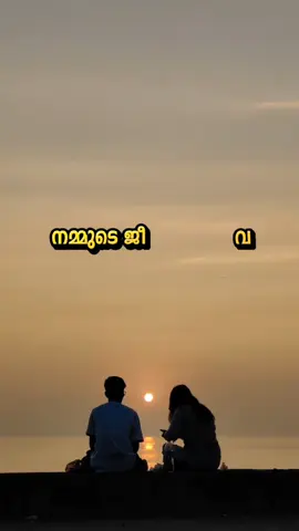 നമ്മുടെ ജീവിതത്തിലെ ആകെ സമാധാനം ഭാര്യക്ക് ഭർത്താവും ഭർത്താവിന് ഭാര്യയുമാണ്#ഭാര്യ #ഭർത്താവ് #സമാദാനം #ജീവിതം #life 