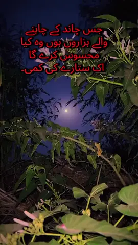 محبوب لاء انسان ڪجھ به ڪري سگھي ٿو ، چاھي دنيا جي ڪھڙي به ميل ھجي ، چاھي دنيا جي ڪھڙي به قيد ھجي ، عاشق لاء محبوب راضي ته خدا راضي ۔۔۔!!!#viralvideo #trending #foryou #foryou 