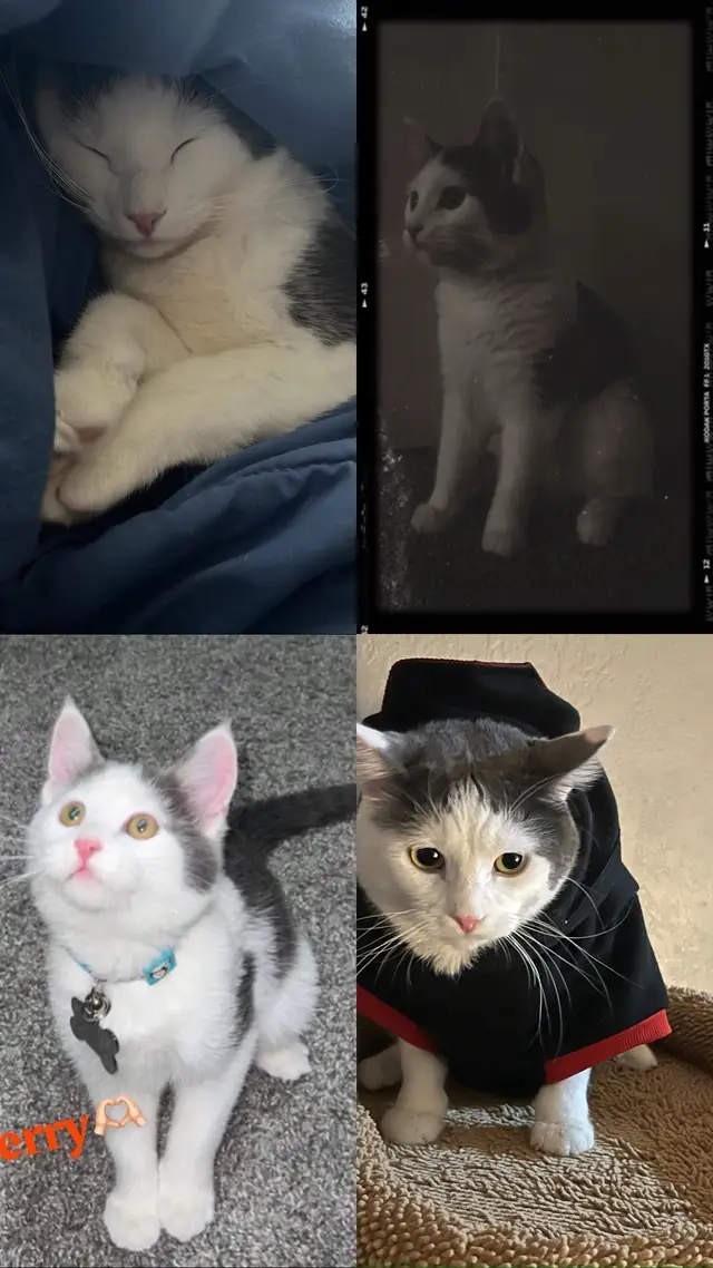 #الفراق_صعب_بوجع_القلب 