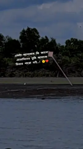 #@একটা আপসোস কি জানো এতোদিনেও তুমি আমাকে চিনতে পারো নাই...! 🙂💔#foryou #fyp 